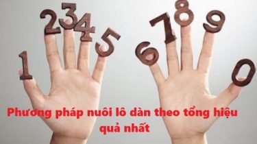 Phương pháp nuôi lô dàn theo tổng hiệu quả nhất